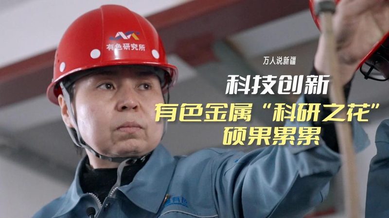 上海数据服务硬件批发价格解析：揭秘市场动态与选购要点